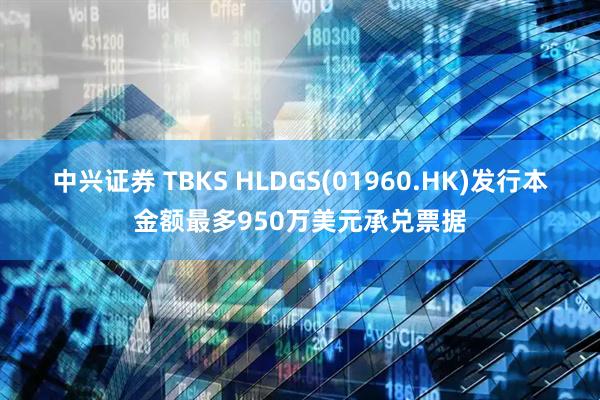中兴证券 TBKS HLDGS(01960.HK)发行本金额最多950万美元承兑票据